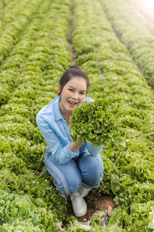 Lý Nhã Kỳ thu hoạch cà chua - Ảnh 8.