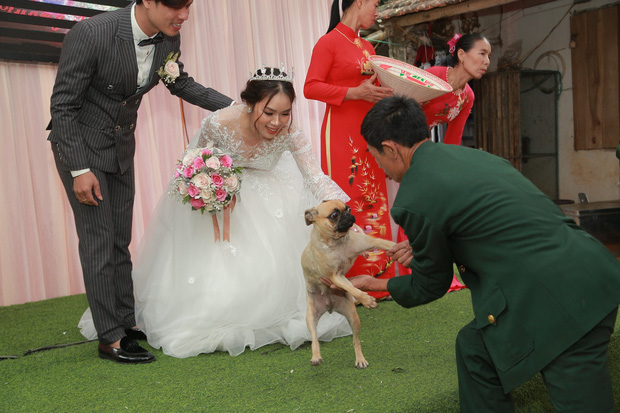Bật cười vì biểu cảm thảng thốt của chú chó cưng khi bị bắt chia ly với cô chủ trên sân khấu đám cưới - Ảnh 1.