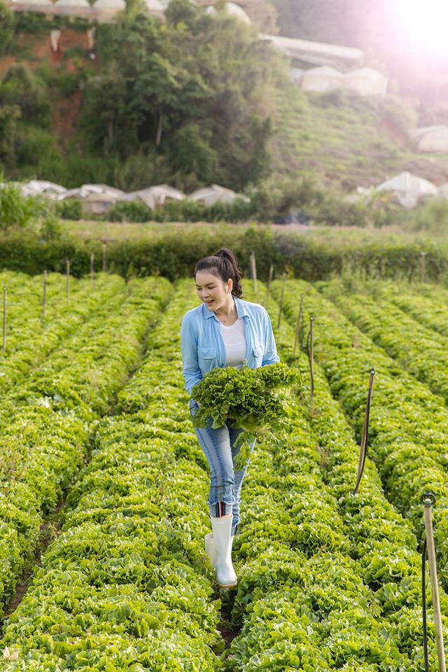 Không nhận ra Lý Nhã Kỳ khi làm phụ hồ xây biệt phủ cho dòng họ - Ảnh 2.