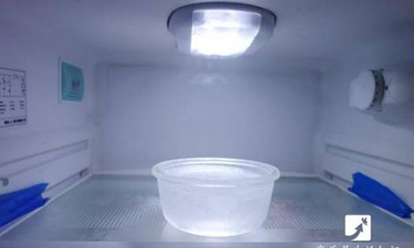 Đặt bát nước vào tủ lạnh mỗi ngày, thành quả sau 1 tháng sẽ khiến bạn mừng hơn trúng số - Ảnh 2.
