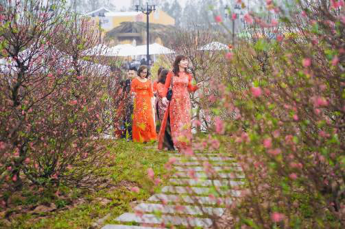 Ngắm những bộ ảnh áo dài đẹp lung linh trong 3 lễ hội hoa lớn nhất Tết Canh Tý - Ảnh 3.