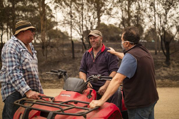 Xót xa nông dân Úc tự tay bắn chết bò bị bỏng nặng do cháy rừng - Ảnh 7.