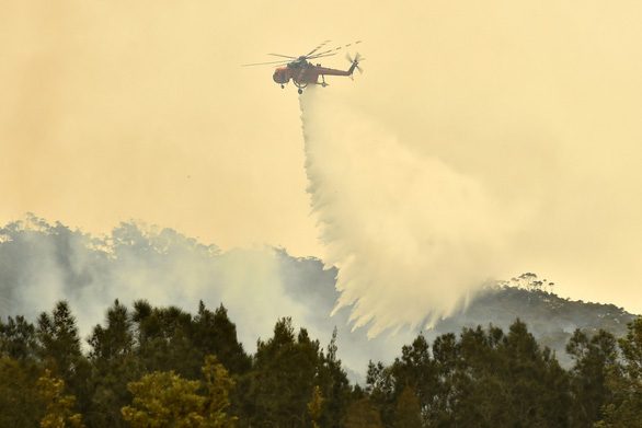 Bất ngờ cơn mưa vàng xoa dịu cơn đau thảm họa cháy rừng tại Úc - Ảnh 1.