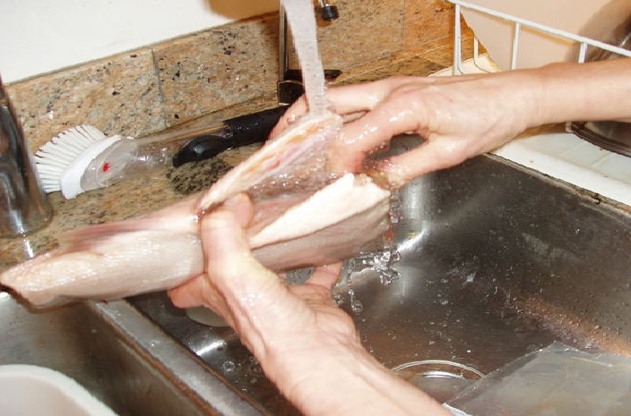 Không cần tốn tiền đi mua phân bón, vườn cây của bạn sẽ tốt vù vù với những thực phẩm bỏ đi trong nhà bếp này - Ảnh 9. Không cần tốn tiền đi mua phân bón, vườn cây của bạn sẽ tốt vù vù với những thực phẩm bỏ đi trong nhà bếp này - Ảnh 9.