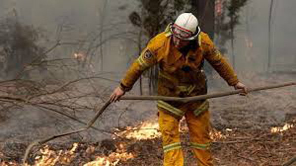 24 người bị coi là thủ phạm chính gây ra thảm họa cháy rừng khủng khiếp tại Úc - Ảnh 2.