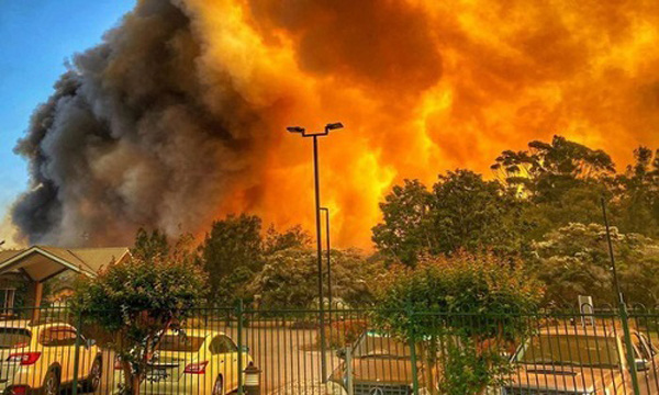 24 người bị coi là thủ phạm chính gây ra thảm họa cháy rừng khủng khiếp tại Úc - Ảnh 1.