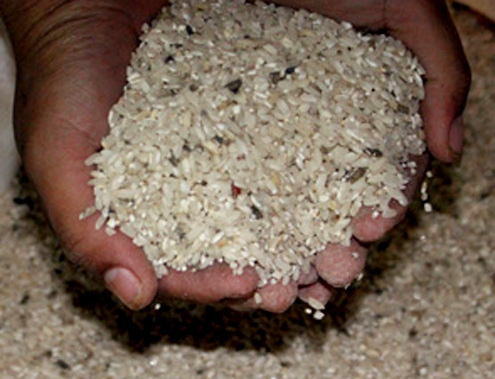 Những loại gạo có được biếu không cũng không ăn vì cực độc - Ảnh 4.