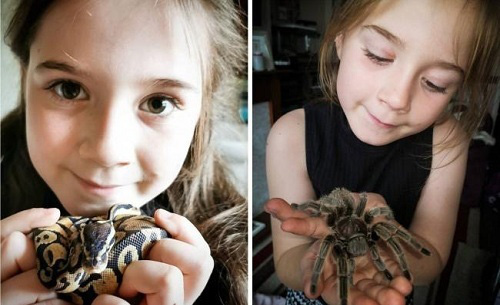 Kỳ quặc bé gái nuôi 50 con nhện, rắn, bọ cạp trong phòng ngủ - Ảnh 2.