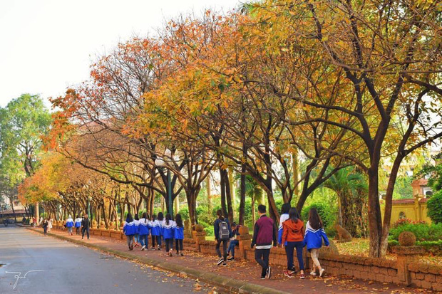 Ngôi trường Đại học đẹp nhất mùa đông Hà Nội: Background sống ảo lung linh như bối cảnh phim Hàn Quốc - Ảnh 2.