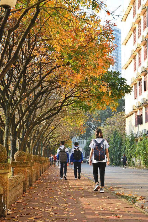 Ngôi trường Đại học đẹp nhất mùa đông Hà Nội: Background sống ảo lung linh như bối cảnh phim Hàn Quốc - Ảnh 6.