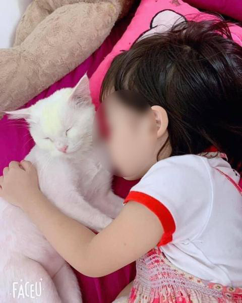 Bé tử vong nghi học theo Youtube: Điều quan trọng nhất cha mẹ cần làm là gì?