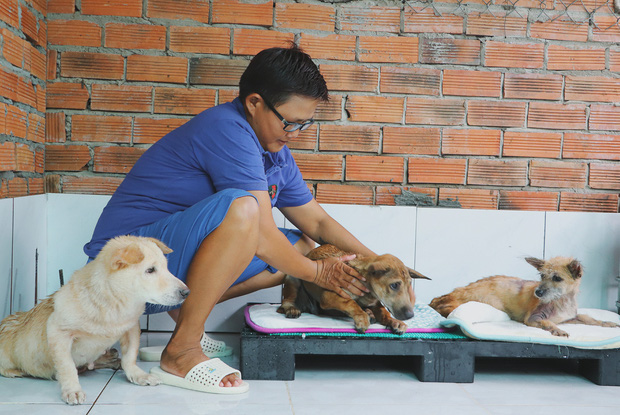 Người phụ nữ nuôi chó mèo bị bại liệt suốt 6 năm, bỏ cả công việc để chăm sóc đàn con của mình - Ảnh 11.