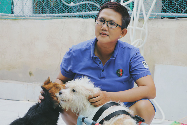Người phụ nữ nuôi chó mèo bị bại liệt suốt 6 năm, bỏ cả công việc để chăm sóc đàn con của mình - Ảnh 12.