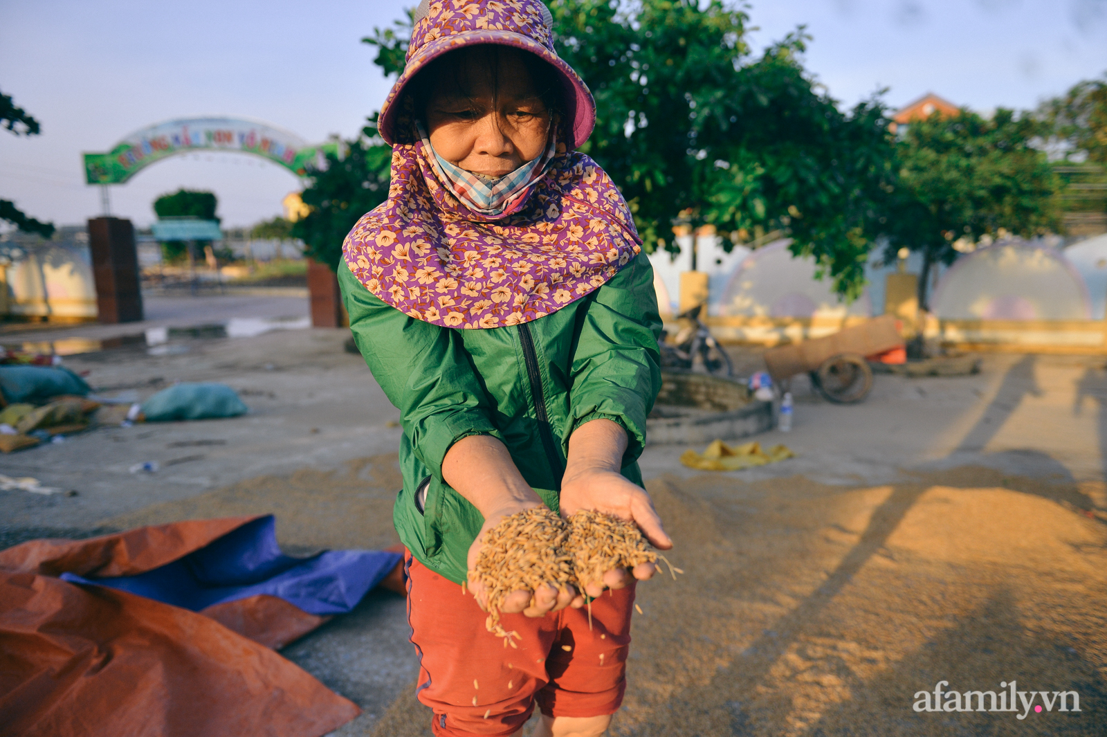 Ký ức người chết hụt trong trận “đại hồng thủy” 70 năm mới thấy một lần: Trải nghiệm cận tử của em bé 4 tuổi, 3 tấn thóc mọc mầm và tinh thần “còn da lông mọc, còn chồi lên cây” - Ảnh 15. Ký ức người chết hụt trong trận “đại hồng thủy” 70 năm mới thấy một lần: Trải nghiệm cận tử của em bé 4 tuổi, 3 tấn thóc mọc mầm và tinh thần “còn da lông mọc, còn chồi lên cây” - Ảnh 15.