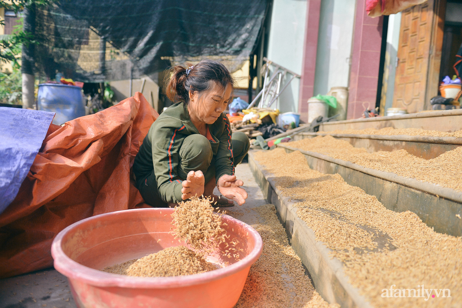 Ký ức người chết hụt trong trận “đại hồng thủy” 70 năm mới thấy một lần: Trải nghiệm cận tử của em bé 4 tuổi, 3 tấn thóc mọc mầm và tinh thần “còn da lông mọc, còn chồi lên cây” - Ảnh 10. Ký ức người chết hụt trong trận “đại hồng thủy” 70 năm mới thấy một lần: Trải nghiệm cận tử của em bé 4 tuổi, 3 tấn thóc mọc mầm và tinh thần “còn da lông mọc, còn chồi lên cây” - Ảnh 10.