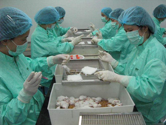 Việt Nam thử nghiệm vaccine Covid - Ảnh 1. Việt Nam thử nghiệm vaccine Covid - Ảnh 1.