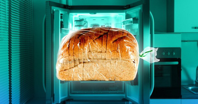 11 sự thật về bánh mì không phải ai cũng biết: Số 7 là món quà hoàn hảo từ nước Đức - Ảnh 1. 11 sự thật về bánh mì không phải ai cũng biết: Số 7 là món quà hoàn hảo từ nước Đức - Ảnh 1.