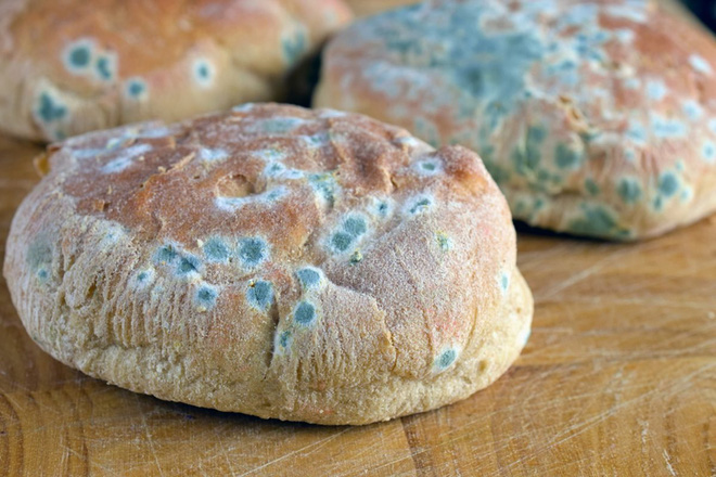 11 sự thật về bánh mì không phải ai cũng biết: Số 7 là món quà hoàn hảo từ nước Đức - Ảnh 3. 11 sự thật về bánh mì không phải ai cũng biết: Số 7 là món quà hoàn hảo từ nước Đức - Ảnh 3.