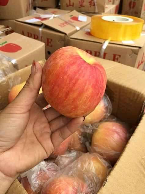 Dân buôn vén màn nguồn gốc loại táo đá siêu rẻ chỉ 10.000 đồng/kg được quảng cáo là đặc sản Hà Giang, bà nội trợ kiểm chứng nhanh chỉ qua chi tiết này - Ảnh 5. Dân buôn vén màn nguồn gốc loại táo đá siêu rẻ chỉ 10.000 đồng/kg được quảng cáo là đặc sản Hà Giang, bà nội trợ kiểm chứng nhanh chỉ qua chi tiết này - Ảnh 5.