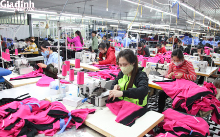 TTDVVL Ninh Bình: Trăn trở tìm hướng đi cho người lao động thất nghiệp - Ảnh 1.