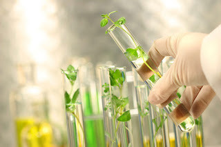 Tinh chất tế bào gốc thực vật Dr. Skin Anpha và ứng dụng Đột phá trong Nghiên cứu khoa học vào sản phẩm chăm sóc sức khỏe - Ảnh 1.