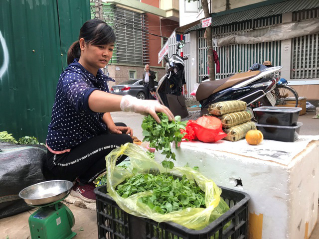 Rau dại bờ bụi miền Tây đi chuyên cơ ra Hà Nội thành đặc sản hạng sang - Ảnh 6.