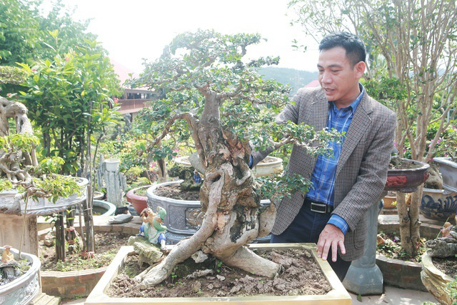 X&acirc;m nhập vườn duối cổ trăm tuổi gi&aacute; triệu USD của đại gia Hải Dương - Ảnh 11.