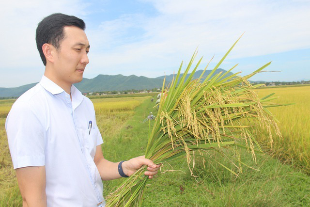 9X bỏ việc an nhàn về quê chế biến gạo, thu trăm tỷ đồng mỗi năm - Ảnh 3.