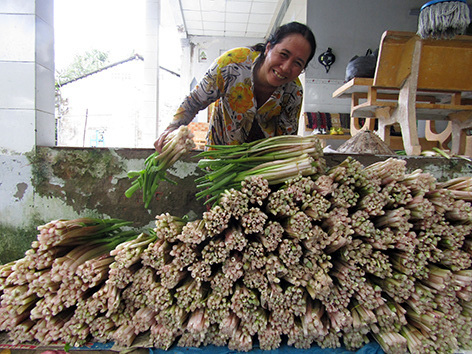 Thứ rau đồng hoang trước vứt đi không xuể, nay nhặt về trồng dưới mương, hái được bó nào lái khuân hết sạch - Ảnh 2.