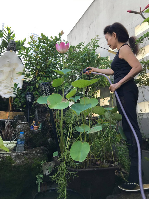 Mẹ Hồ Ngọc Hà tập Yoga, hít thở không khí trong lành trong khu vườn trên sân thượng - Ảnh 3.