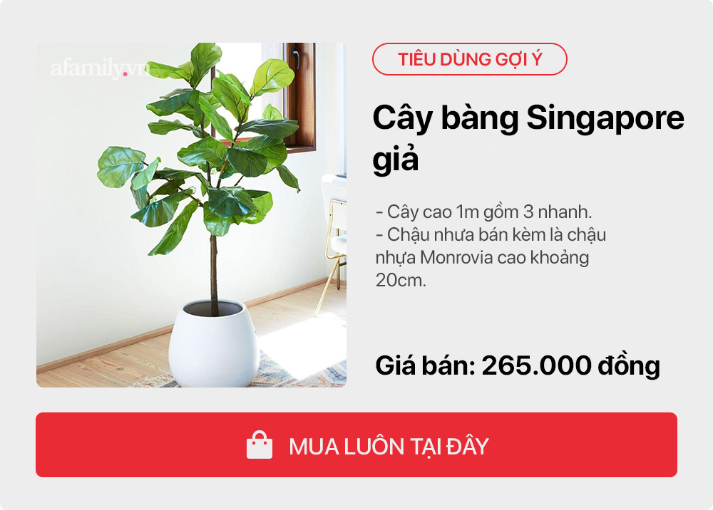 Tư vấn cho cô nàng độc thân decor phòng thuê 15m² theo phong cách Hàn Quốc, giá toàn bộ nội thất chỉ 4,5 triệu ai nhìn cũng mê - Ảnh 6. Tư vấn cho cô nàng độc thân decor phòng thuê 15m² theo phong cách Hàn Quốc, giá toàn bộ nội thất chỉ 4,5 triệu ai nhìn cũng mê - Ảnh 6.