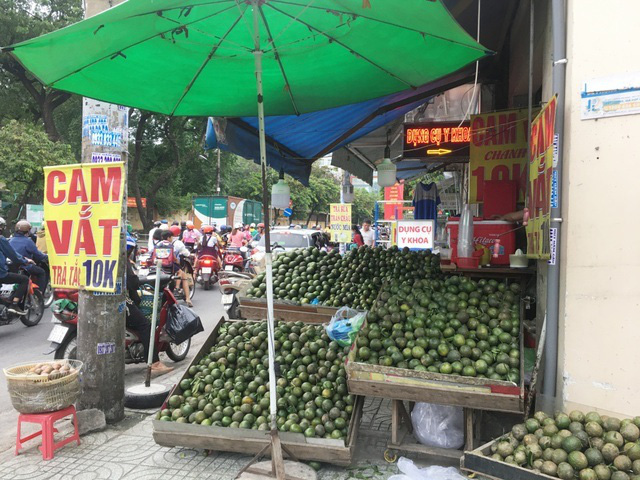 Trái cây đang có giá rẻ không tưởng, chất đầy các hè đường  - Ảnh 1.