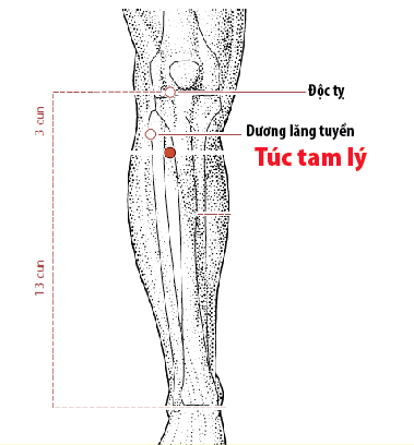 Không cần tập thể dục cũng chẳng phải nhịn ăn, chỉ cần bấm 2 điểm vàng này đều đặn, cân nặng tức khắc phải giảm ngay! - Ảnh 4.