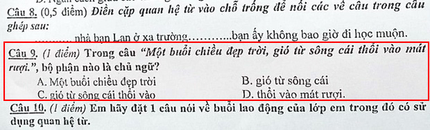 Đề bài Tiếng Việt tìm chủ ngữ trong câu, lắt léo đến mức cư dân mạng tranh cãi kịch liệt - Ảnh 1.