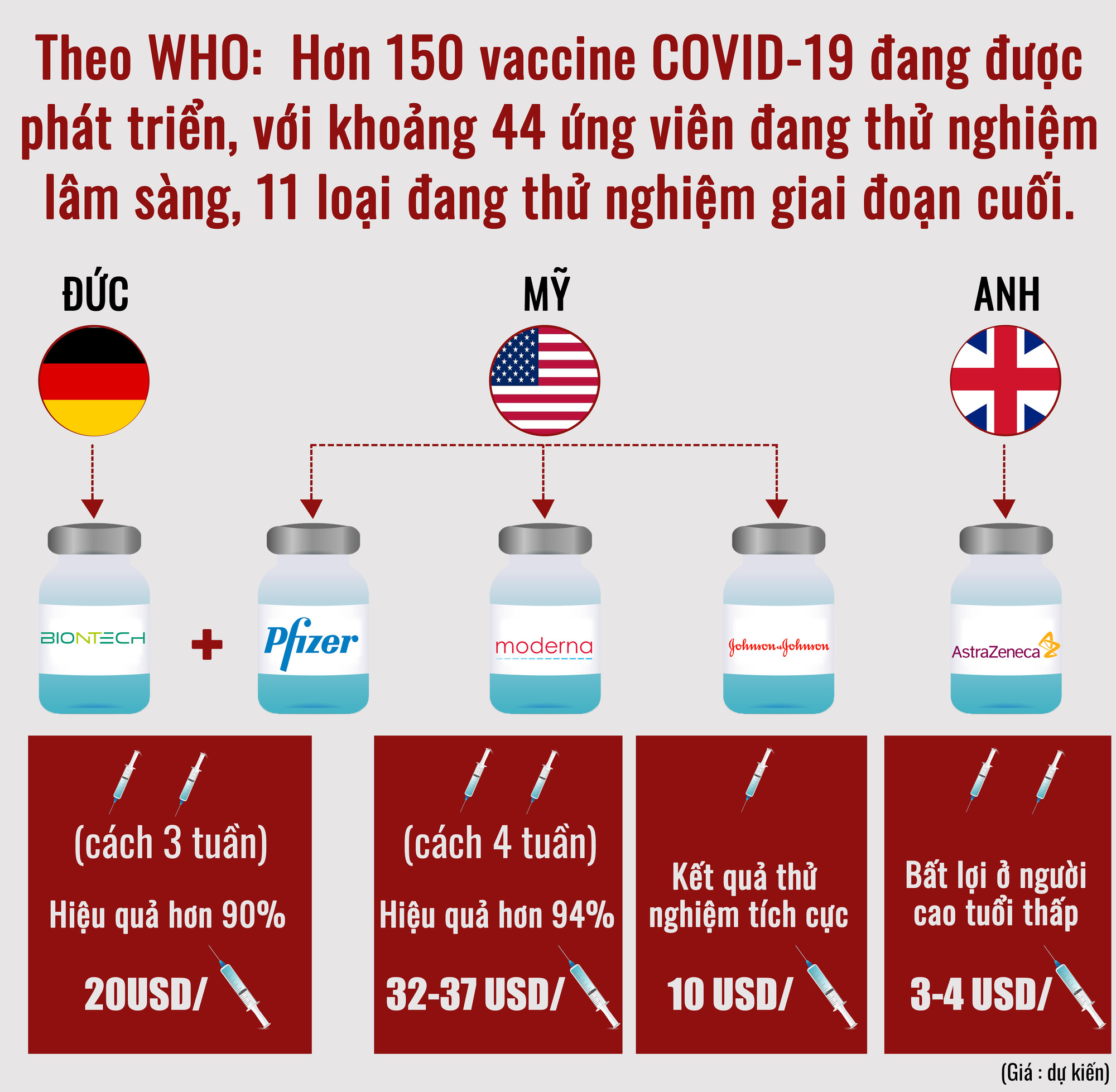 Tròn 1 năm từ ngày xuất hiện COVID-19, thế giới thay đổi ra sao? - Ảnh 6.