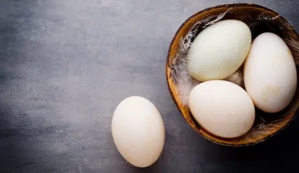 10 lý do khiến trứng vịt được coi là ngon bổ hơn trứng gà nhưng đừng quên khuyến cáo này của chuyên gia - Ảnh 1.