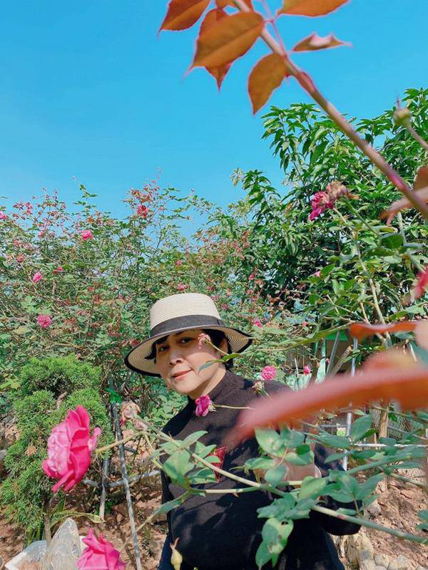 NSND Minh Hằng tận hưởng cảm giác bình yên bên vườn nhà ngập tràn hoa hồng - Ảnh 3.