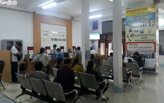 TTDVVL Bình Định: Đảm bảo quyền lợi tối ưu cho lao động thất nghiệp - Ảnh 1.