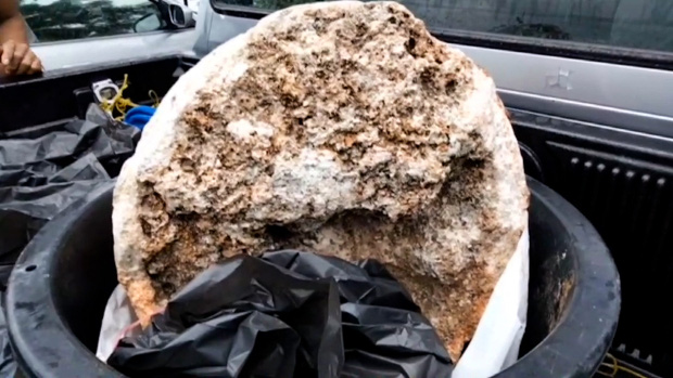 Dạo bờ biển, lão ngư dân nghèo bắt gặp khối đá được cho là báu vật biển lớn nhất thế giới từng được tìm thấy, chuẩn bị đổi đời thành triệu phú - Ảnh 2.