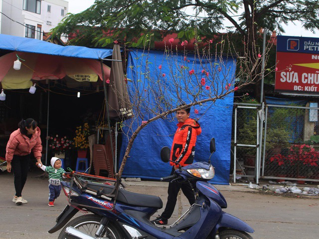 Đào Tết xuống phố sớm: Tiểu thương hét giá mỗi cành 1 triệu đồng - Ảnh 6.