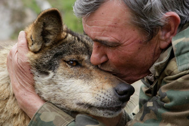 Câu chuyện có thật về cậu bé rừng xanh được bầy sói nuôi dưỡng trong 12 năm và cuộc sống sau khi tái hòa nhập cộng đồng con người - Ảnh 2.
