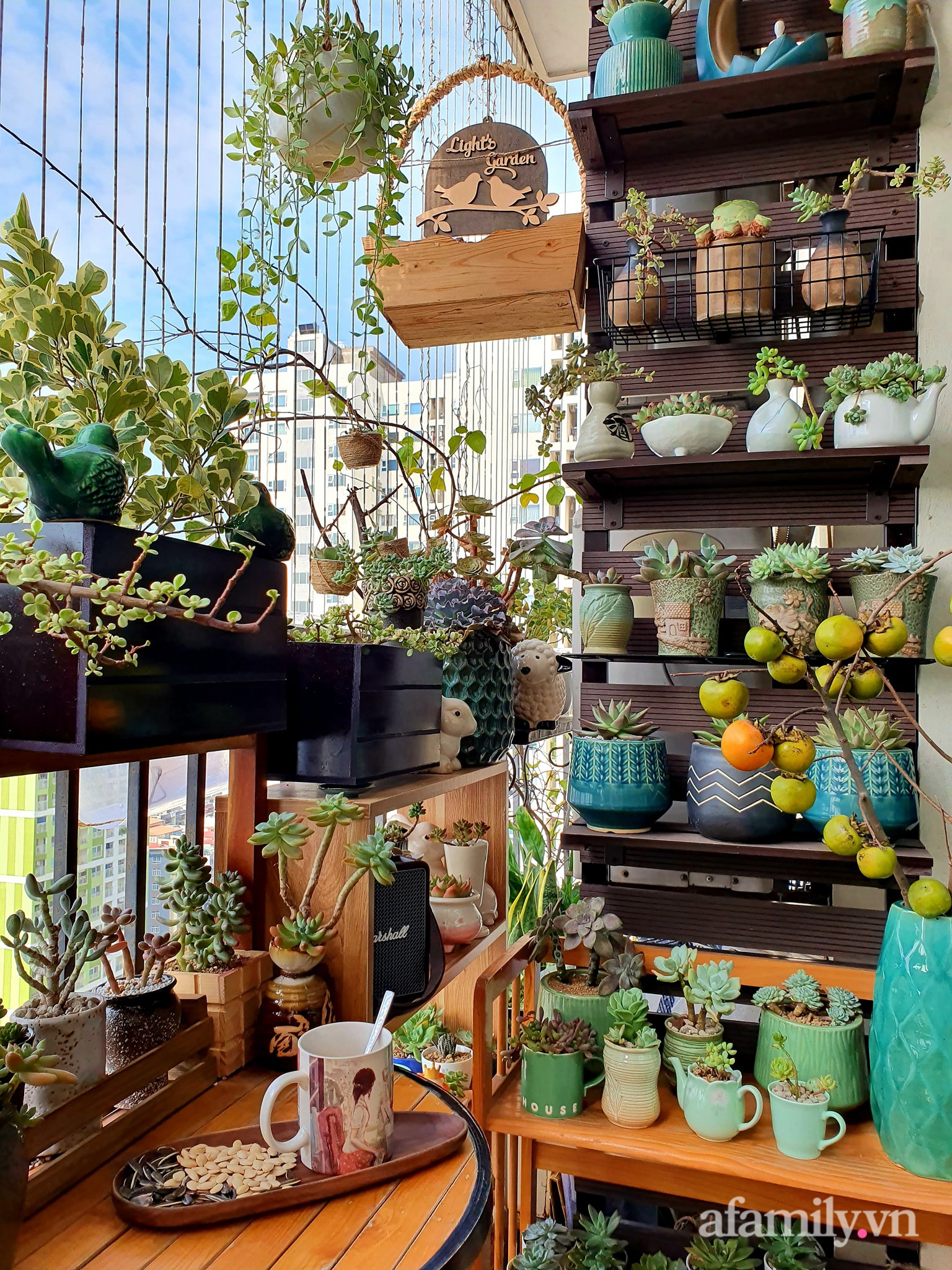 Ban c&ocirc;ng 6m&sup2; đẹp b&igrave;nh dị của chủ nh&acirc;n d&agrave;nh t&igrave;nh y&ecirc;u đặc biệt cho sen đ&aacute; ở H&agrave; Nội - Ảnh 11.