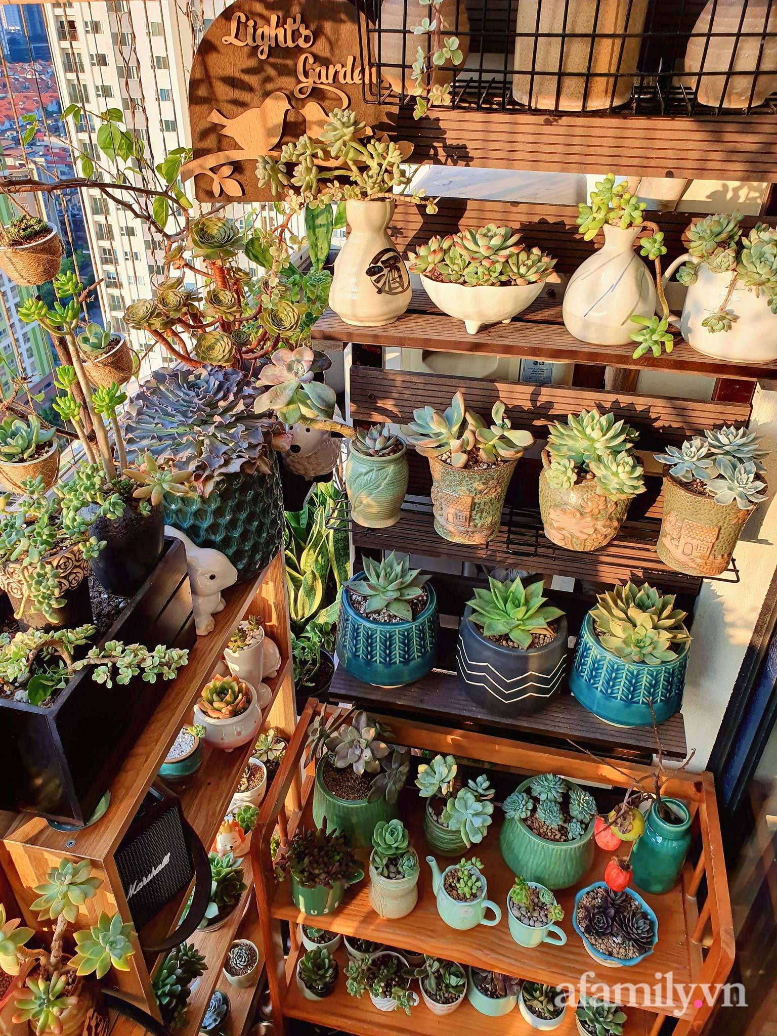 Ban c&ocirc;ng 6m&sup2; đẹp b&igrave;nh dị của chủ nh&acirc;n d&agrave;nh t&igrave;nh y&ecirc;u đặc biệt cho sen đ&aacute; ở H&agrave; Nội - Ảnh 12.