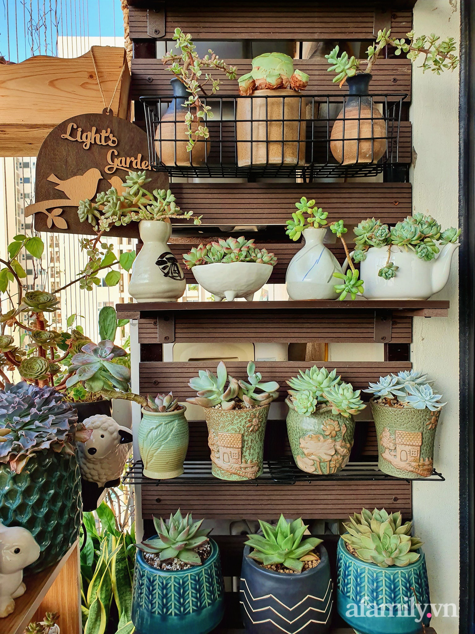 Ban c&ocirc;ng 6m&sup2; đẹp b&igrave;nh dị của chủ nh&acirc;n d&agrave;nh t&igrave;nh y&ecirc;u đặc biệt cho sen đ&aacute; ở H&agrave; Nội - Ảnh 13.