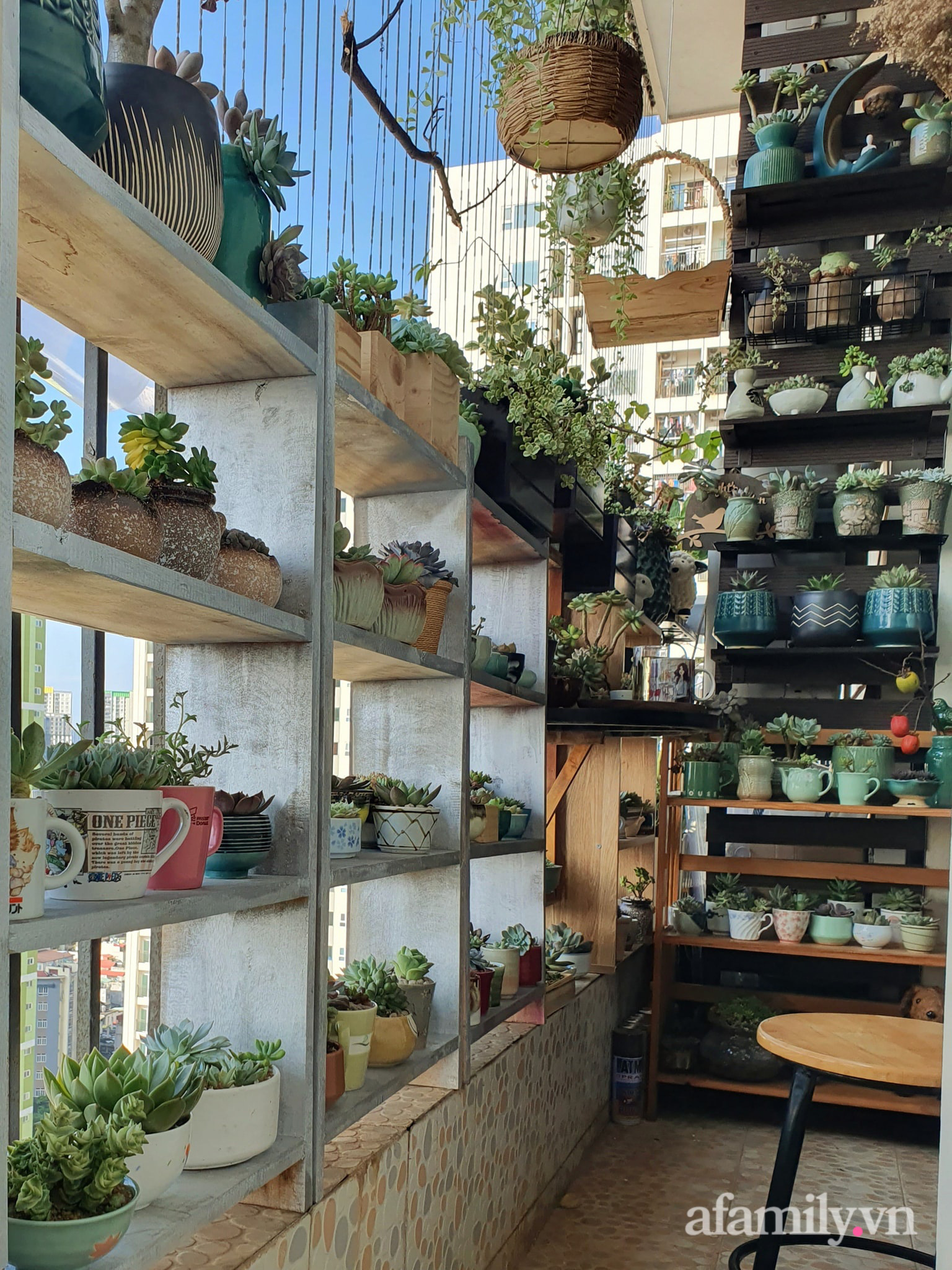 Ban c&ocirc;ng 6m&sup2; đẹp b&igrave;nh dị của chủ nh&acirc;n d&agrave;nh t&igrave;nh y&ecirc;u đặc biệt cho sen đ&aacute; ở H&agrave; Nội - Ảnh 15.