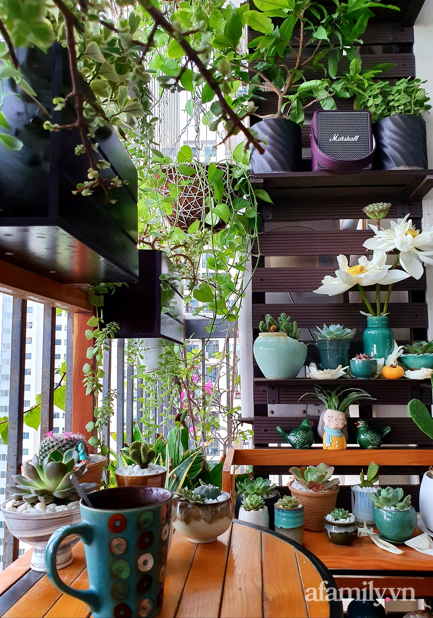 Ban c&ocirc;ng 6m&sup2; đẹp b&igrave;nh dị của chủ nh&acirc;n d&agrave;nh t&igrave;nh y&ecirc;u đặc biệt cho sen đ&aacute; ở H&agrave; Nội - Ảnh 16.