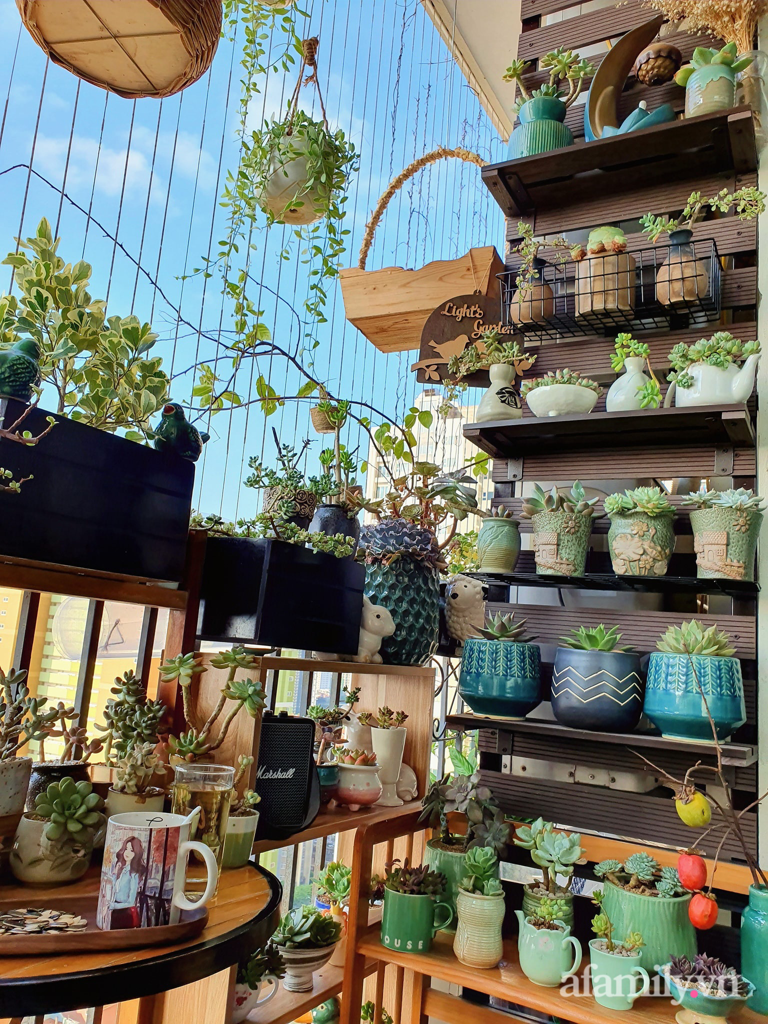 Ban c&ocirc;ng 6m&sup2; đẹp b&igrave;nh dị của chủ nh&acirc;n d&agrave;nh t&igrave;nh y&ecirc;u đặc biệt cho sen đ&aacute; ở H&agrave; Nội - Ảnh 18.