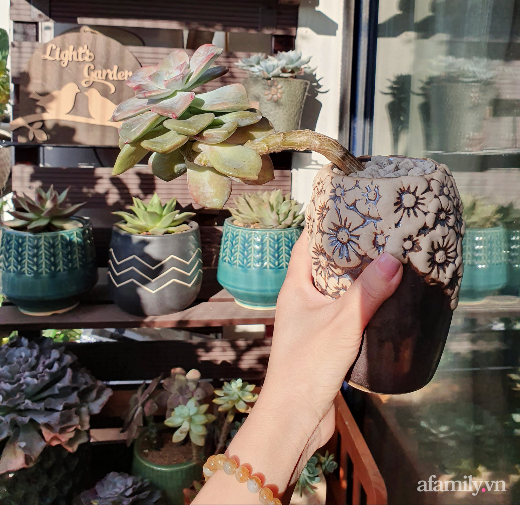 Ban công 6m² đẹp bình dị của chủ nhân dành tình yêu đặc biệt cho sen đá ở Hà Nội - Ảnh 19. Ban công 6m² đẹp bình dị của chủ nhân dành tình yêu đặc biệt cho sen đá ở Hà Nội - Ảnh 19.