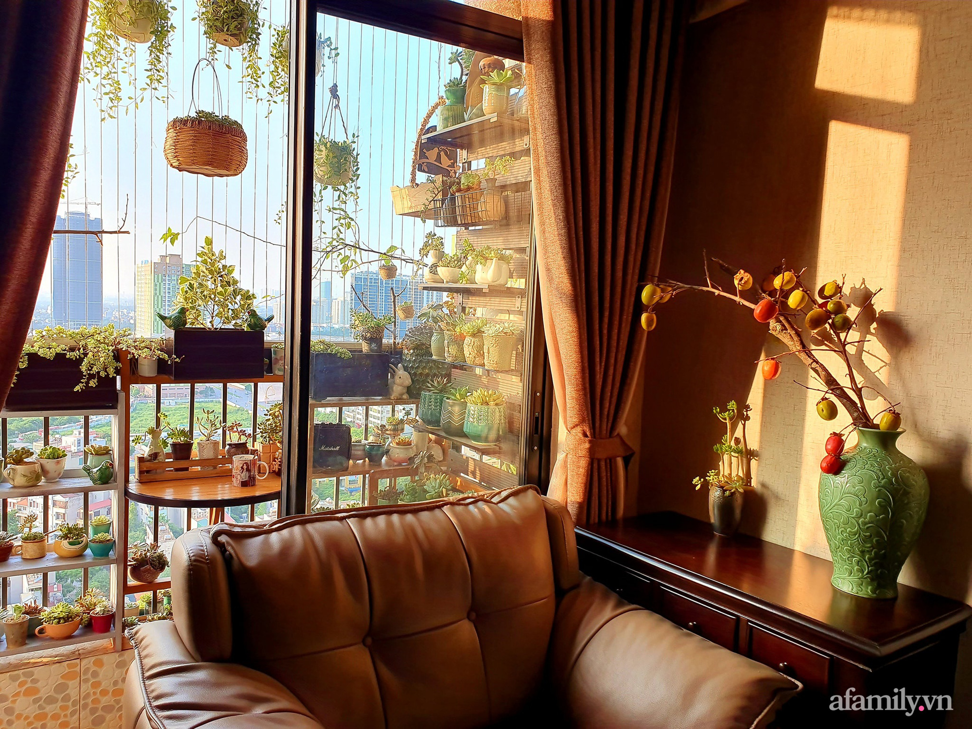 Ban công 6m² đẹp bình dị của chủ nhân dành tình yêu đặc biệt cho sen đá ở Hà Nội - Ảnh 3. Ban công 6m² đẹp bình dị của chủ nhân dành tình yêu đặc biệt cho sen đá ở Hà Nội - Ảnh 3.