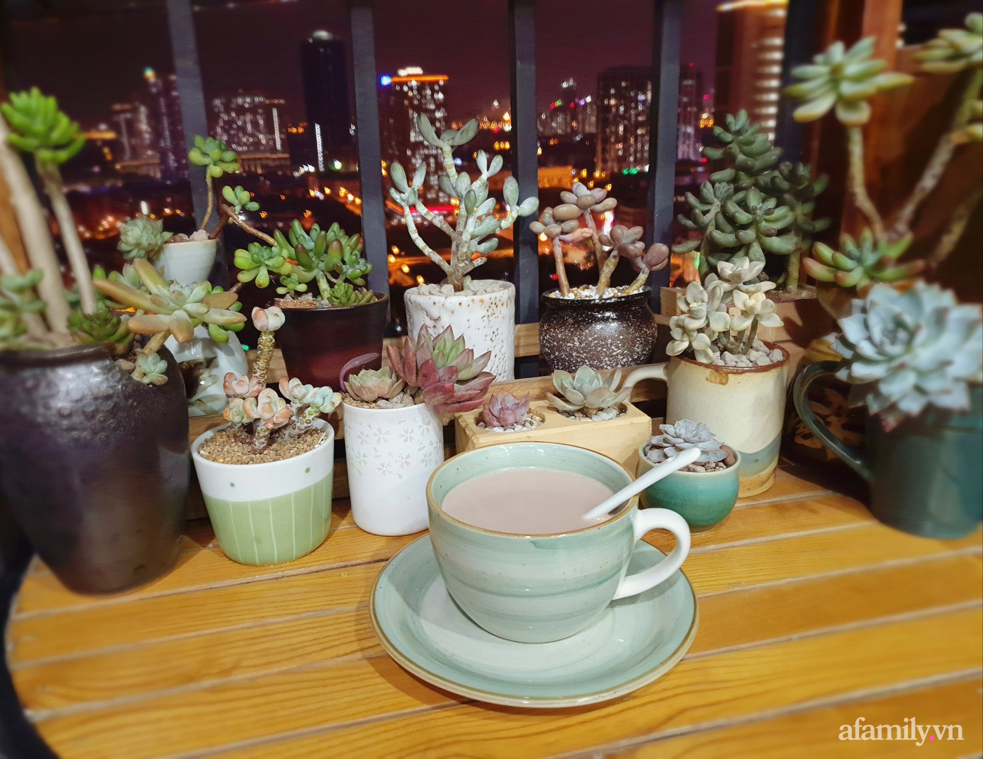 Ban công 6m² đẹp bình dị của chủ nhân dành tình yêu đặc biệt cho sen đá ở Hà Nội - Ảnh 22. Ban công 6m² đẹp bình dị của chủ nhân dành tình yêu đặc biệt cho sen đá ở Hà Nội - Ảnh 22.